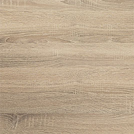 Bergeiche P64 Bergeiche P64